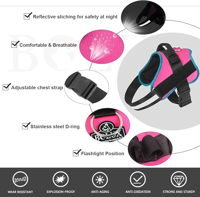 Bolux Dog Harness, No-Pull Reflective Dog Vest, Breathable Adjustable Pet Harness with Handle for Outdoor Walking - No More Pulling, Tugging or Choking Small (Pack of 1) RoseTurquoise-PawvioPets