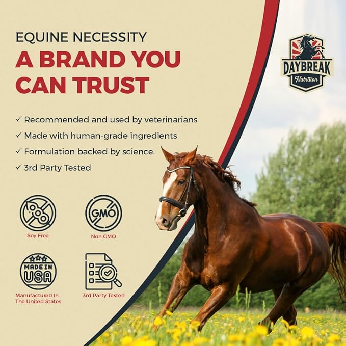 8 in 1 Maximum Strength Equine Joint Supplement - Joint Supplement for Horses - Glucosamine, MSM, Chondroitin, Turmeric, Hyaluronic Acid, Manganese, & Boswelia - 964g (30 Servings)-PawvioPets