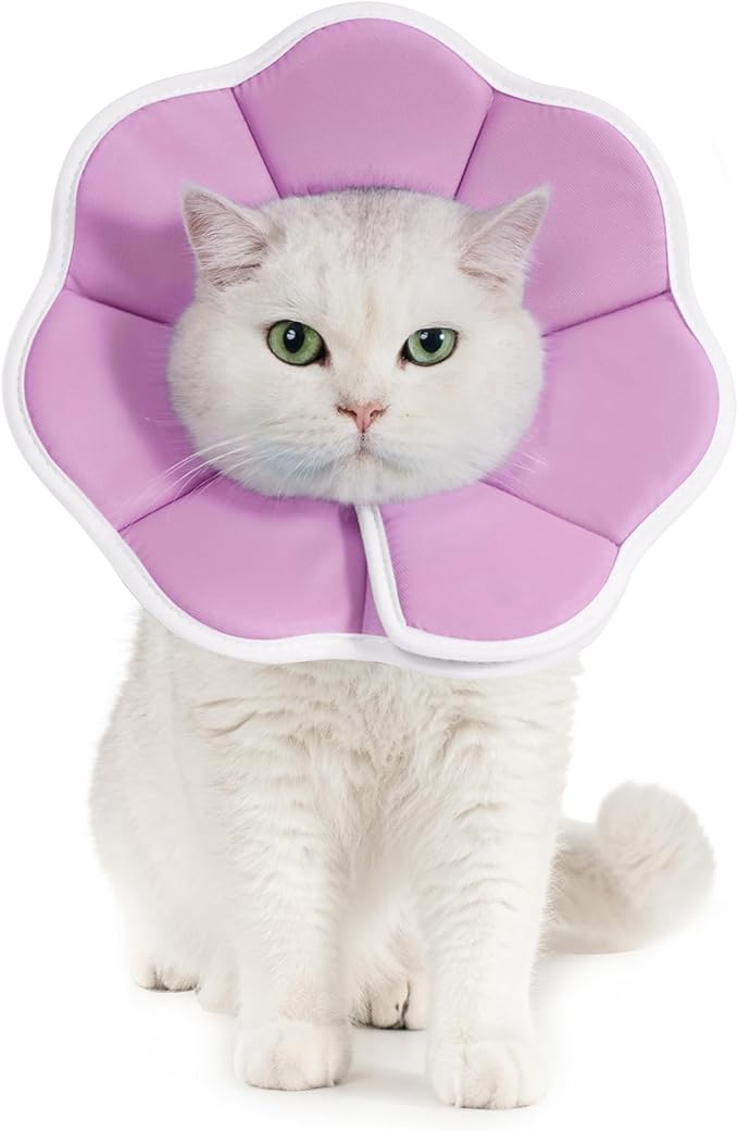 Avont Soft Cat Recovery Cone Collar, Adjustable Lightweight Kitten E-Collar for Small Dogs, Comfortable Neck Donut Stop Licking Scratching After Surgery -Purple(S)-PawvioPets