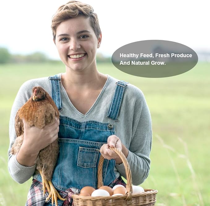 20lbs Mealworms, High-Protein Dried Mealworms for Birds, Chickens, Turtles, Fish, Hamsters and Hedgehogs, Non-GMO and Chemical Free, All Natural Animal Feed-PawvioPets