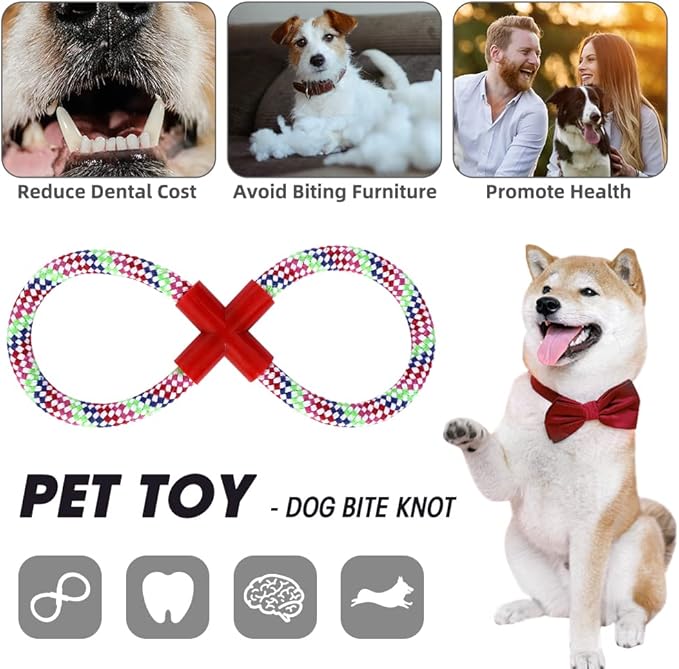 Dog Stairs&Steps for High Beds Up to 28'', 5-Step Dog Ramp for Small Medium Dogs with Washable Cover, Pet Steps for Cats to Get on Couch and Sofa, Durable Foam Ladders, 24.4" Tall, Black-PawvioPets