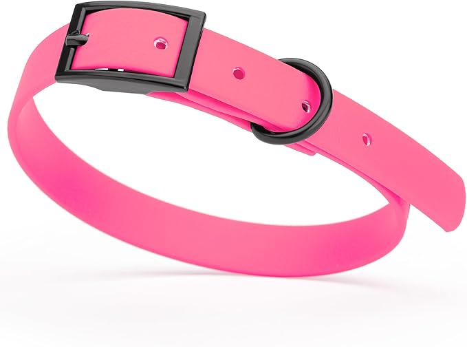 Dogline Biothane Waterproof Dog Collar Strong Coated Nylon Webbing with Black Hardware Odor- Proof for Easy Care Easy to Clean High Performance Fits Small Medium or Large Dogs, Passionfruit Pink-PawvioPets