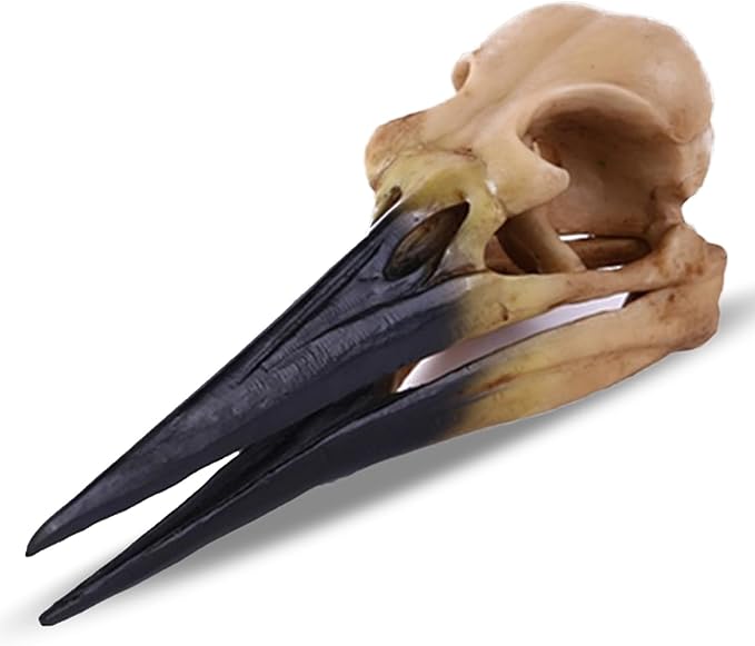 Fish Cave Hideout Ornament Décor for Terrarium Dinosaur Animal Skull Aquarium Large Decorations Betta Tarantula Reptile Snake Decor Bones Halloween-PawvioPets