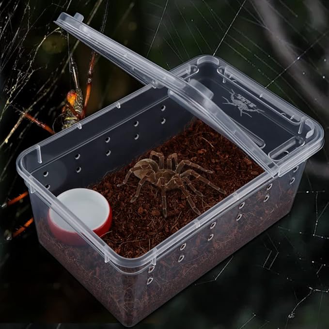 5 Pcs Spider Small Terrariums Breeding Box Transparent Hatching Container Plastic Feeding Box for Small Reptile Spider Scorpion Centipede Insect-PawvioPets