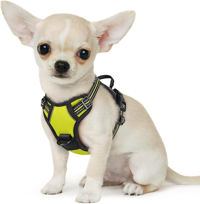 Eagloo Small Dog Harness No Pull, Service Vest with Reflective Strips and Control Handle, Adjustable and Comfortable for Walking, No Choke Pet Harness with 2 Metal Rings, Green, XS-PawvioPets