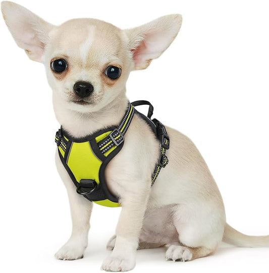 Eagloo Small Dog Harness No Pull, Service Vest with Reflective Strips and Control Handle, Adjustable and Comfortable for Walking, No Choke Pet Harness with 2 Metal Rings, Green, XS-PawvioPets