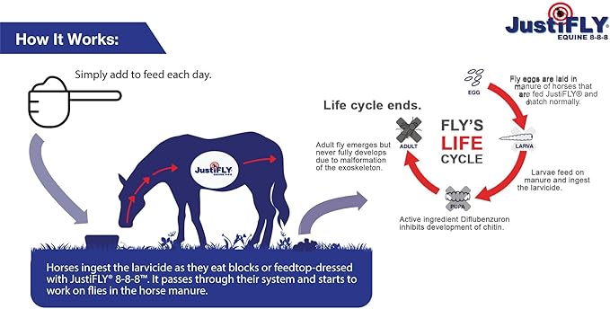 Equine 8-8-8 Fly Control for Horses (10 lb)-PawvioPets