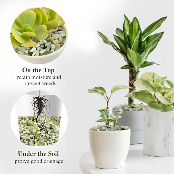 5 lbs Jade Gravel Small Pebbles for Indoor Plants, Decorative Rocks for Plants Succulents Cactus Bamboo Vases Filler and Potted Drainage Gravel-PawvioPets