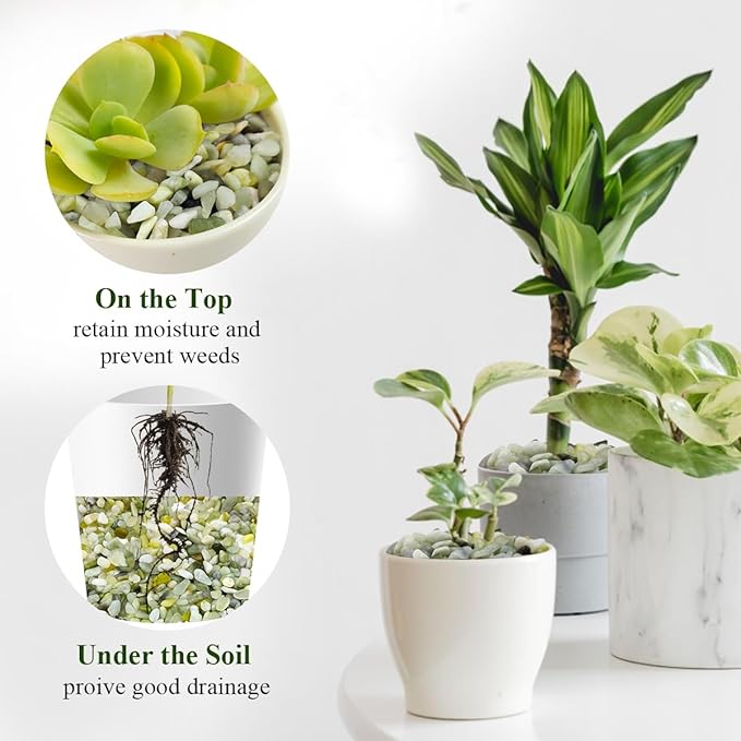 2 lbs Jade Rocks for Plants Indoor, 1/4 inch Small Pebbles for Plants, Decorative Rocks for Succulents Cactus Vases Landscaping Drainage and Outdoor Garden Rocks-PawvioPets