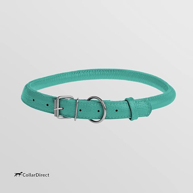 CollarDirect Rolled Leather Dog Collar, Soft Padded Round Puppy Collar, Handmade Genuine Leather Collar Dog Small Large Cat Collars 13 Colors (11-14 Inch, Mint Green Textured)-PawvioPets