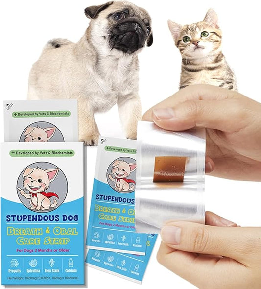 Breath Freshener Strip for Clean Teeth, Fresh Breath, & Healthy Mouth: Dog Water Additive for Dental Care - Pet Bad Breath Remedy - Cat Dental Mint Treats (10 Strips)-PawvioPets