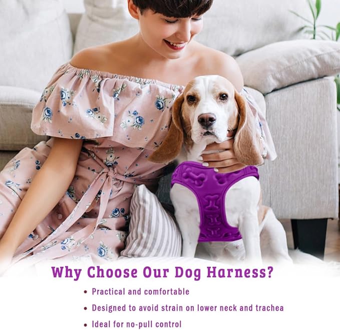 Comfort Fit Dog Harness No Pull with Adjustable Buckles Soft Padded Reflective Choke Step-in Pet Vest with Easy Control Handle for Small Medium Large Dogs & Puppies for Walking Running Training-PawvioPets