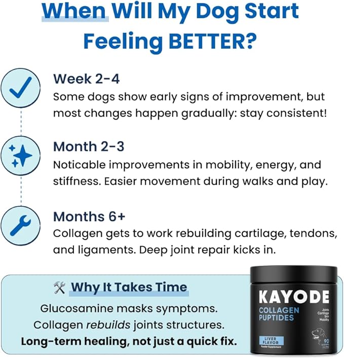 Collagen Puptides - Collagen for Dogs | Premium Dog Joint Supplement | 2X The Amount As Liquid Droppers | Great for Senior & Adult Dogs. Includes Omega 3.-PawvioPets