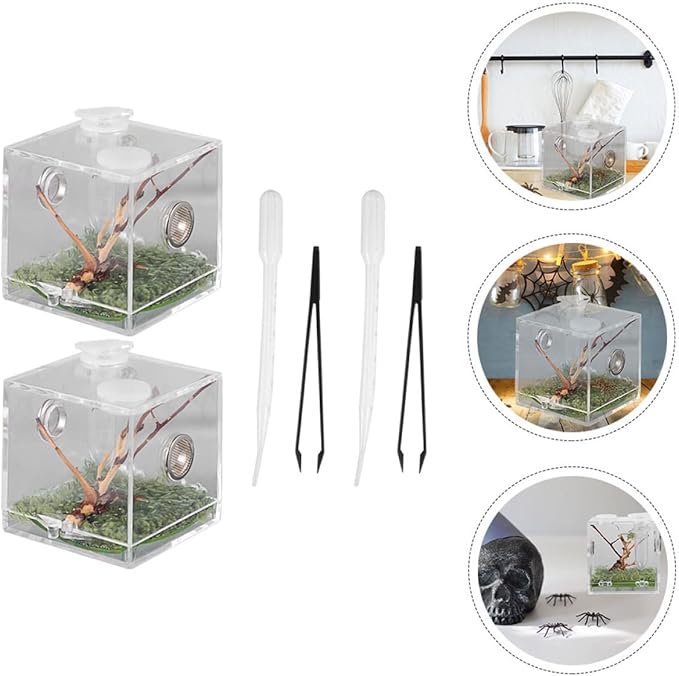 balacoo 8 Sets Jumping Spider Enclosure: Spider Cage Habitat Jumping Terrarium Micro Scorpion Droppers Reptile Hide Clear Enclosure Breeding Box Case with Breeding Tweezers-PawvioPets