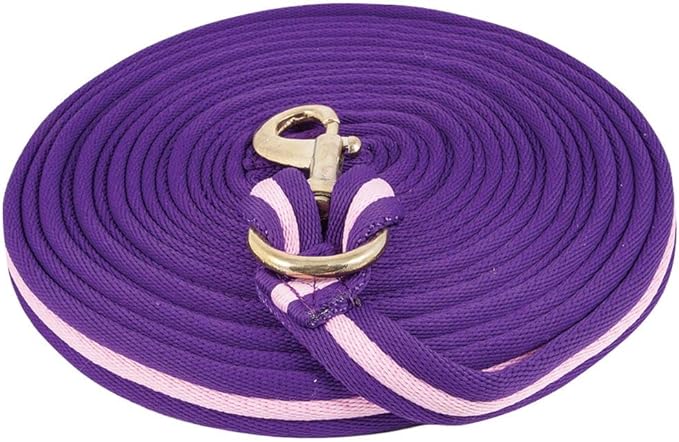Dura-Tech Cushion Lunge Line for Horses | Stable Use & Horse Training | Horse Lunge Line with Snap | Durable Horse Lead Rope | 30 Foot Length | Replaceable Brass Snap-PawvioPets