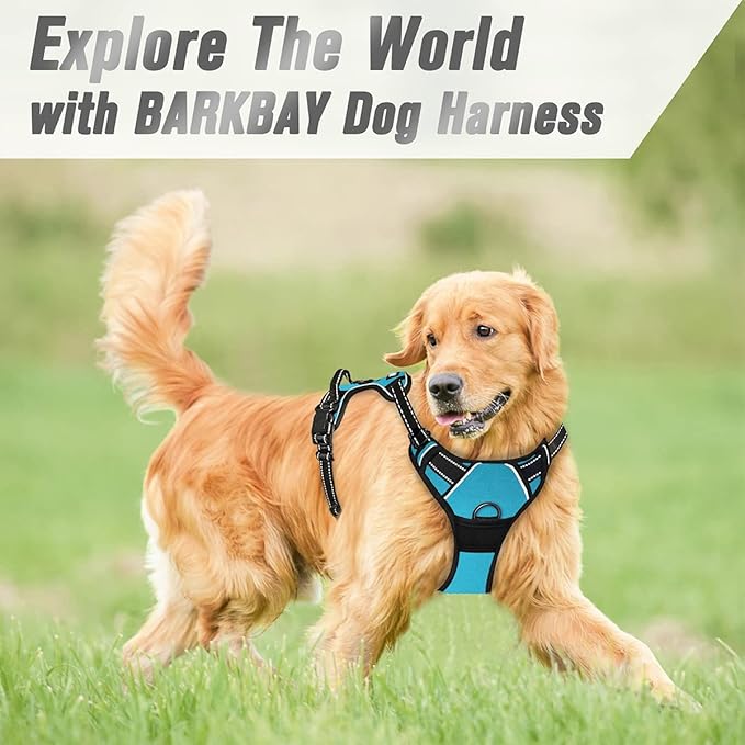 BARKBAY No Pull Dog Harness Front Clip Heavy Duty Reflective Easy Control Handle for Large Dog Walking(Blue,S)-PawvioPets