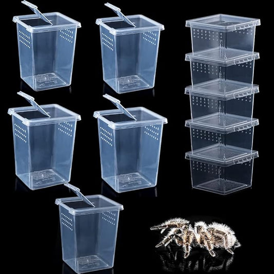 10 Pack Spider Terrariums Breeding Box Small Reptile Hatching Container Acrylic Feeding Box for Arboreal Spider Tarantula Mantis Scorpion Centipede Insect (5 High+5 Small)-PawvioPets