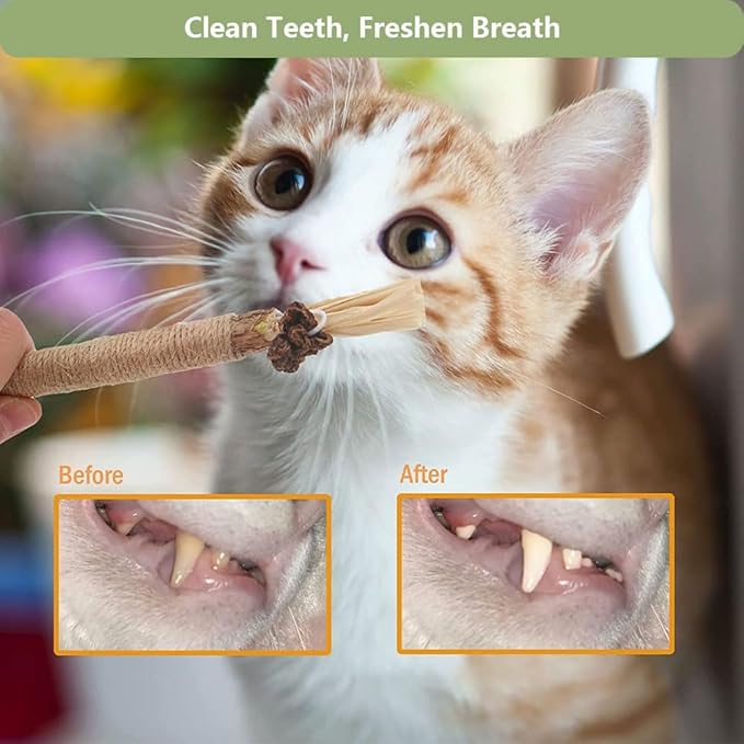 6 PCS Silvervine Sticks for Cats - Natural Cat Chew Toys for Teeth Cleaning, Kitten Teething & Aggressive Chewers-PawvioPets