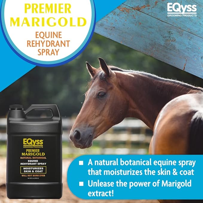 EQyss Premier Marigold Equine Coat Conditioning Spray - Moisturize Horse's Skin & Coat, Add Shine, Detangle, Repel Dirt & Dust, Silicone-free (128 oz)-PawvioPets
