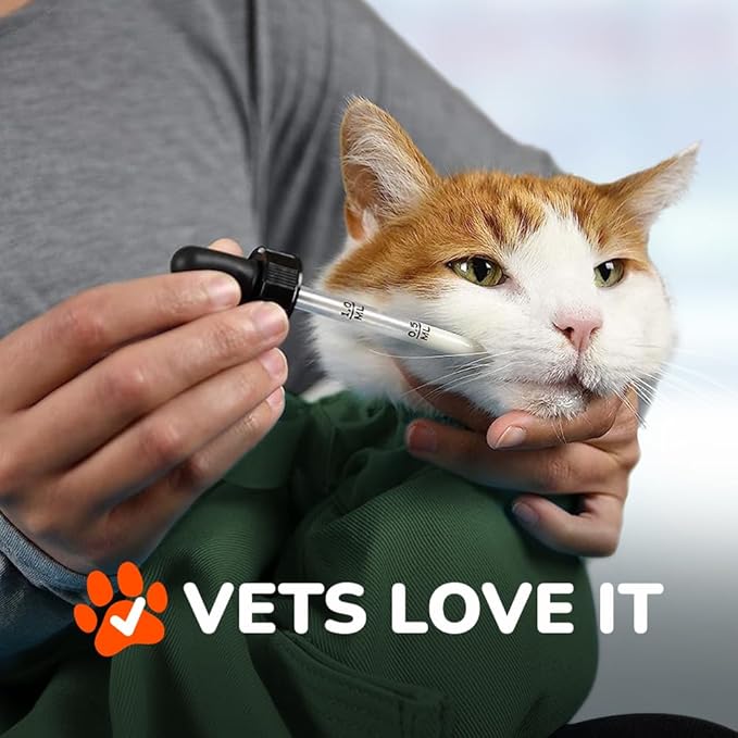 Cozy Comfort Carrier - Small Green Cat Carrier, Cat Holder for Cutting Nails, & Cat Carrier Pouch for Vet Visits, Medication Administration, Dental Care, & Travel-PawvioPets