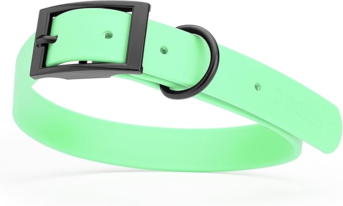 Dogline Biothane Waterproof Dog Collar Strong Coated Nylon Webbing with Black Hardware Odor- Proof for Easy Care Easy to Clean High Performance Fits Small Medium or Large Dogs, Sea Foam Green-PawvioPets