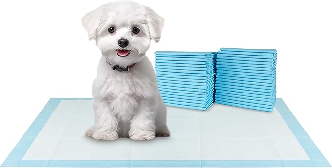 BV Small Puppy Pads 100 Count 17"x24" - Leak-Proof & Absorbent Pee Pads For Dogs with 6-Layer Design, Rapid Dry Sheet & Built-In Attractant - Dog Pad with Odor Control, Perfect for Puppies&Senior Dogs-PawvioPets