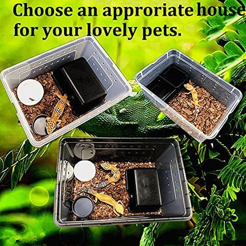 Critter Keeper 2-Pack, Cricket Cage & Reptile Feeding Box 12.59"x8.66"x5.9" Transparent Portable Plastic Snake Habitat Escape-Proof Ventilated Design for Gecko, Tarantula, Scorpion, Spider, Frog-PawvioPets