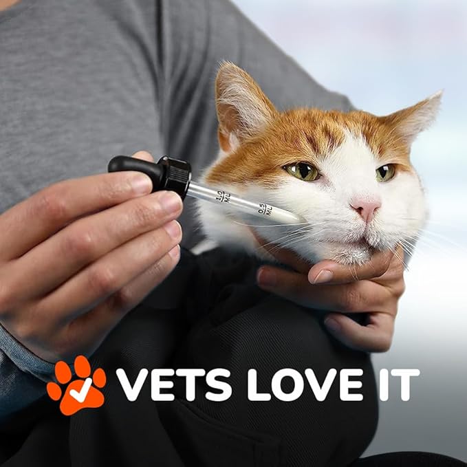 Cozy Comfort Carrier - Small Charcoal Grey Cat Carrier Bag, Soft Cat Carrier and Cat Wrap for Nail Clipping, Vet Visits, Medication Administration, Dental Care, and Traveling-PawvioPets