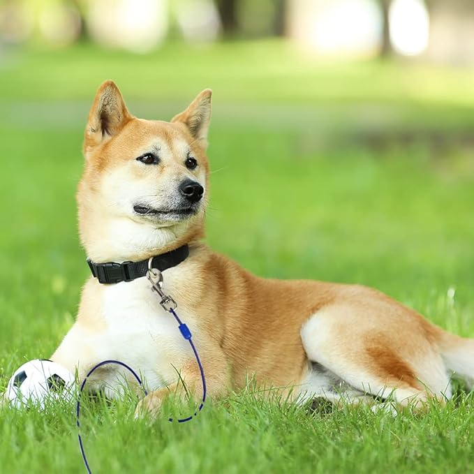 BV Dog Tie Out Cable 25 Feet - Heavy Duty Dog Lead Up to 60 Pounds - Reflective & Rust-Free with Quick Release Swivel Clips & 360° Rotating Clasp - Tangle-Free Dogs Runner for Yard (Blue, Pair)-PawvioPets