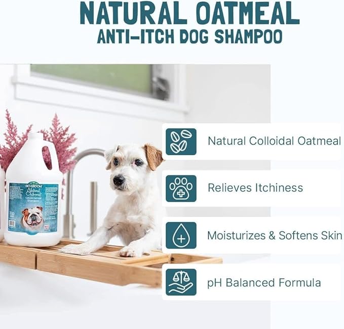 Bio-Groom Oatmeal Dog Shampoo - for Allergies and Itching, Cruelty-Free, Dog Bathing Supplies, Puppy Shampoo for Sensitive Skin, Made in USA, Anti-Itch Dog Products - 12 fl oz 2-Pack-PawvioPets