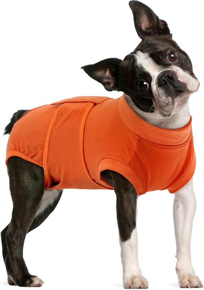 FUAMEY Dog Recovery Suit Male,Dogs Surgery Neuter Suits Puppy Spay Shirts for Female Protect Dog's Skin Anti Licking Abdominal Wounds Doggie Onesie Pet Bodysuit Alternative to Cone Orange L-PawvioPets