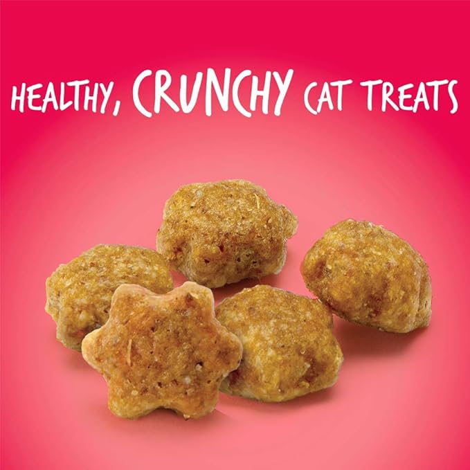 Fruitables Cat Treats Crunchy Salmon & Cranberry Cat Treats Healthy Low Calorie, High Protein Wheat, Corn & Soy Free 30 Ounces-PawvioPets