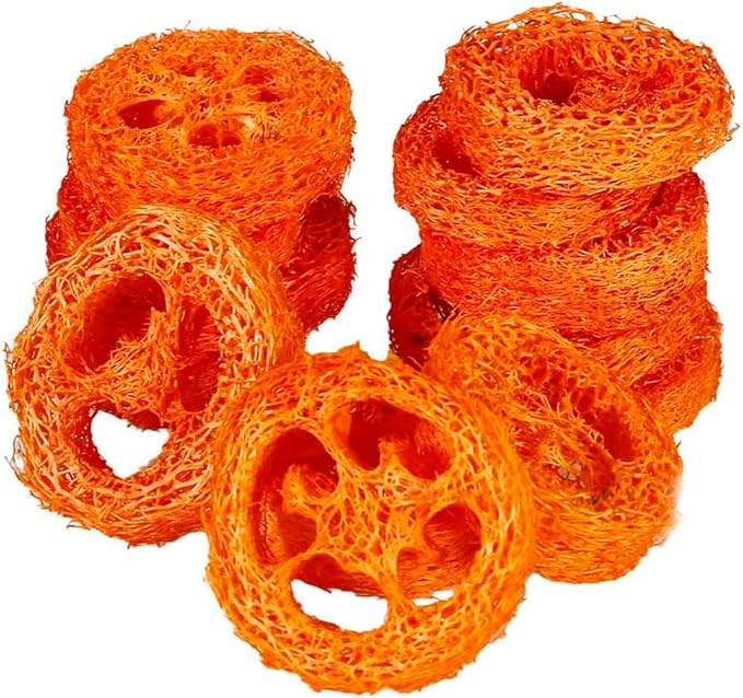 15 Pcs Fruit Flavored Loofah Slices Rabbit Chew Toys Guinea Pig Chew Toys Small Pet Chews Bunny Toys for Teeth Rabbit Toys-PawvioPets