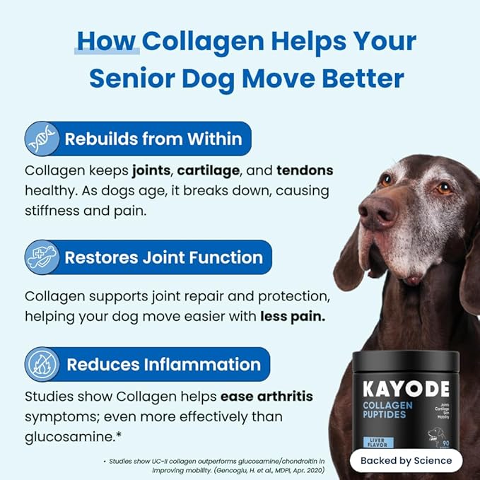Collagen Puptides - Collagen for Dogs | Premium Dog Joint Supplement | 2X The Amount As Liquid Droppers | Great for Senior & Adult Dogs. Includes Omega 3.-PawvioPets