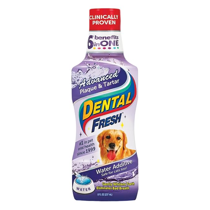 Dental Fresh Advanced Plaque and Tartar Water Additive, 8oz – Dog Teeth Cleaning Formula to Freshen Breath and Improve Overall Oral Health-PawvioPets