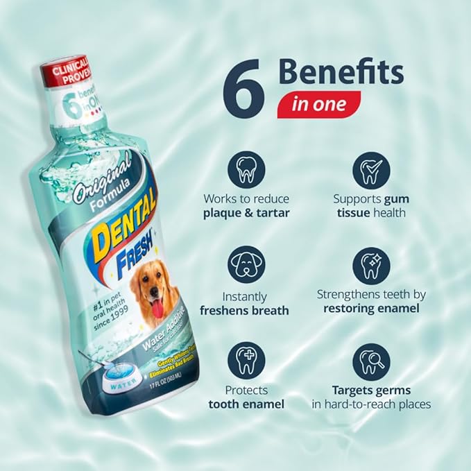 Dental Fresh Water Additive for Dogs, Original Formula, 32oz – Dog Breath Freshener and Dog Teeth Cleaning for Dog Dental Care– Add to Water-PawvioPets