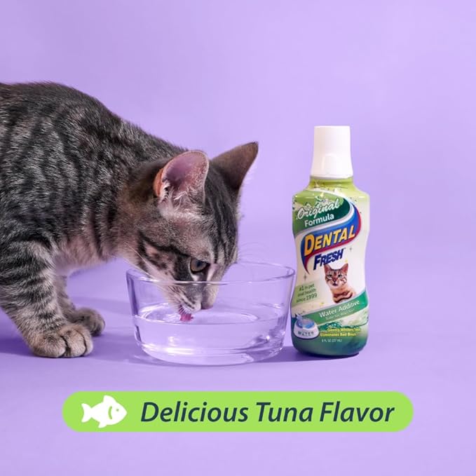 Dental Fresh Water Additive for Cats, Original Formula, 8 oz – Cat Breath Freshener – Products for Cats to Help Overall Cat Dental Health-PawvioPets