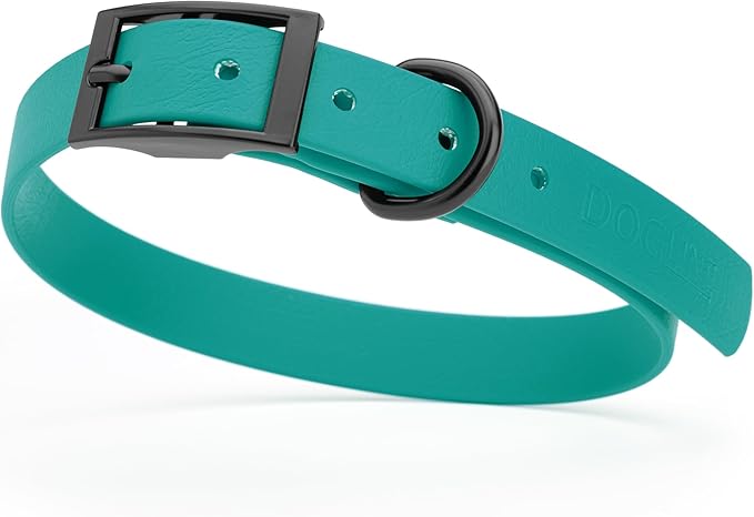Dogline Biothane Waterproof Dog Collar Strong Coated Nylon Webbing with Black Hardware Odor- Proof for Easy Care Easy to Clean High Performance Fits Small Medium or Large Dogs, Blue Aqua-PawvioPets
