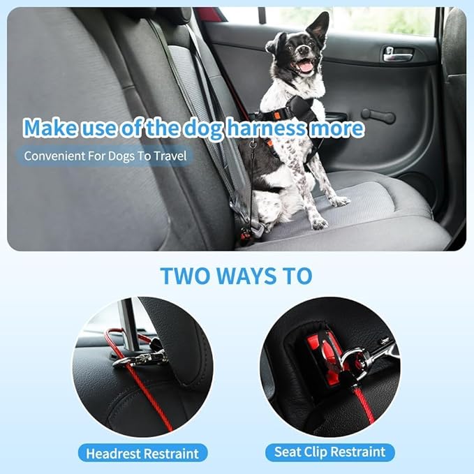 Dog Seat Belt Harness for Car,Dog Seatbelt of Coated Wire Leash Safety Restraint,No Chew Tether Cable Vehicle,Double Clips & Latch(Blue, 16 inch/40 CM)-PawvioPets