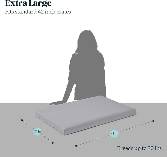 Cybarmour Indestructible Dog Bed - Outdoor Waterproof Chew Proof Dog Crate Pad - Orthopedic Kennel Mat for Aggressive Chewers - Large Breeds & Fits 42-Inch Crate - 41"x27", Limestone-PawvioPets