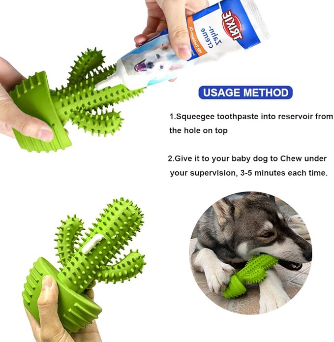 Dog Chew Toys, Toothbrush Stick Teeth Cleaning Brush Dental for Small Medium Large Dog, Rubber Squeaky Toys for Aggressive Chewers Cactus Tough Toys-PawvioPets