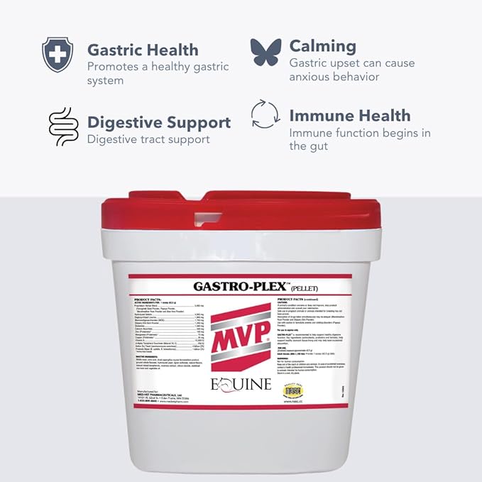 Gastro-Plex (6 lb) Supports Gut Health and Hindgut Digestion in Horses-PawvioPets