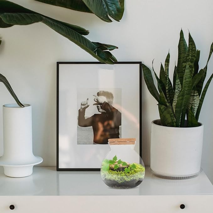 Fish Bowl with LED Light - Small Betta Fish Tank with LED Lighting and Lid Glass Fish Bowl Small Aquarium for DIY Landscape-PawvioPets