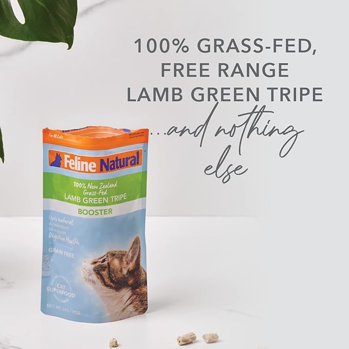 Feline Natural Freeze Dried Lamb Green Tripe Cat Food Supplement - Grain-Free High Protein Natural Topper - 2 Oz Grass Fed Beef Freeze Dried Cat Treats-PawvioPets