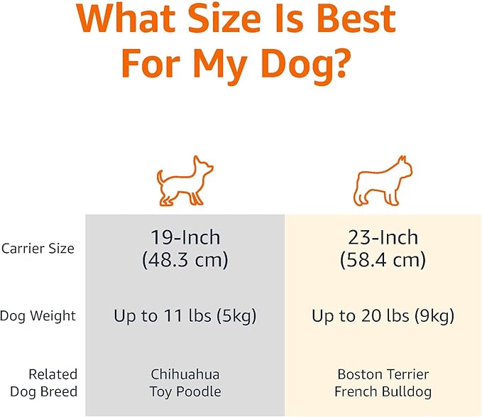 Amazon Basics 2-Door Top-Load Hard-Sided Dogs, Cats Pet Travel Carrier, Gray & Blue, 22.8"L x 15.0"W x 13.0"H-PawvioPets