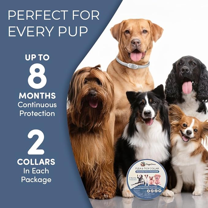 Flea and Tick Collar for Dogs, Cats – Natural Essential Oils – Long-Lasting 8 Month Protection – Waterproof, Adjustable – Safe for Puppies, Kittens, Sensitive Skin-PawvioPets