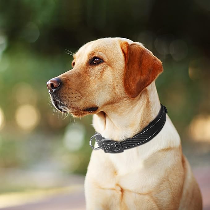 Fida Heavy Duty Dog Collar, Ultra Comfortable Soft Neoprene Padded, Adjustable Reflective Nylon Pet Collar with Durable Metal Belt Buckle for Large Breeds (L, Black)-PawvioPets