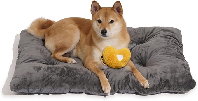 FUNNY FUZZY 35×23 Washable Dog Crate Bed,Orthopedic Cushion Mattress for Large Dogs-Fits 36 Inch Dog Crates, Reversible,Durable & Comfortable Pet Bed,L,Charcoal Grey-PawvioPets