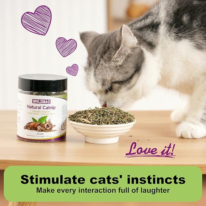 210ML Organic 100% Natural Catnip Cattle Grass Mint Taste Funny Cat Toy New Cat Toy Interactive Cat Toys Pet Supplies-PawvioPets