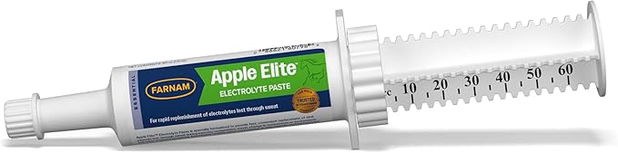 Farnam Apple Elite Electrolyte Paste Supplement for Horses, Replaces Vital Minerals, Encourages Hydration, No Added Sugar, 60 cc syringe-PawvioPets